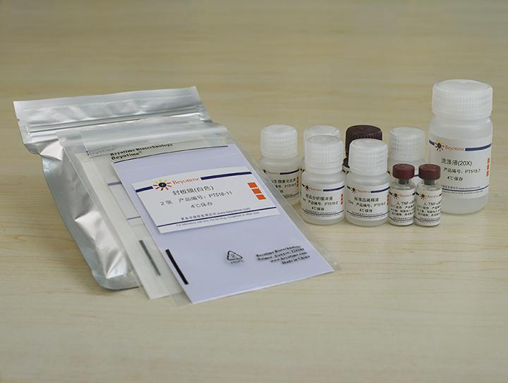 Human TNF-α ELISA Kit